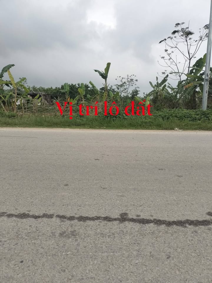 Đất nền Tỉnh Lộ Xuân Hồng 150m² giá thỏa thuận - Tiềm năng tăng giá