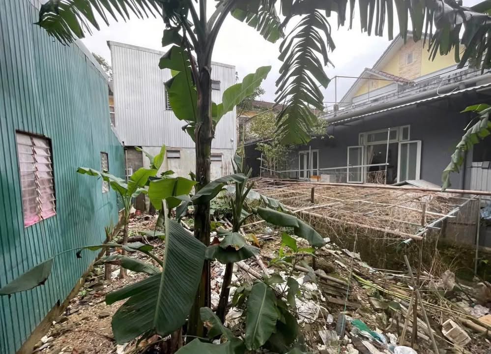 Đất Tây Lộc Huế 77,6m² 1,1 tỷ - Sổ hồng sẵn