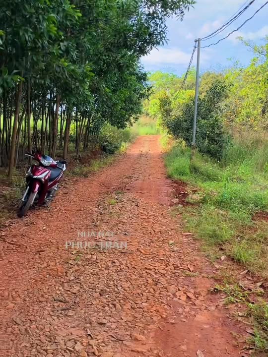 Đất Xuân Tâm Đồng Nai 1.152m² 600 triệu - Xây dựng tự do