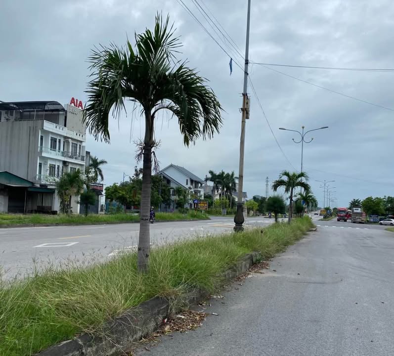 Đất Kim Long Mạo Khê 100m² giá thỏa thuận - Vị trí vàng