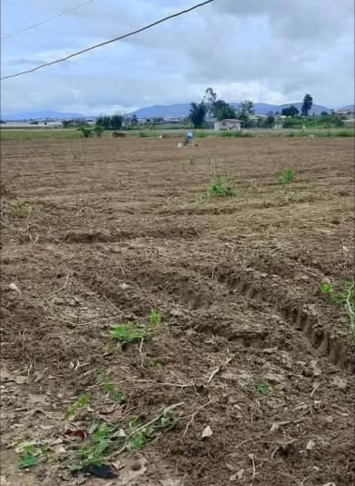 Đất nền Ka Đô Đơn Dương 1.1ha 500tr/sào - Hạ tầng hoàn thiện