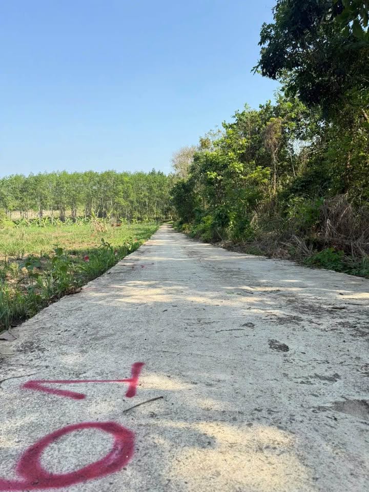 Đất nền Khu phố Thanh Hải Bình Tân 190m² 163tr - Sổ đỏ chính chủ