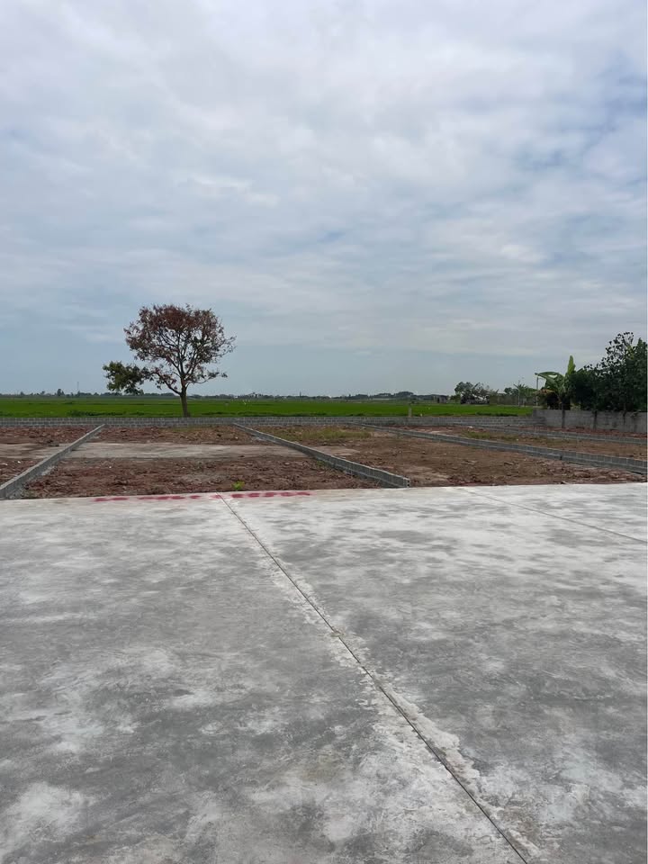 Đất nền Nam Hải Tiền Hải 155m2 giá 7xx - Đường to ô tô