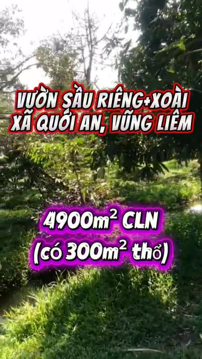 Đất vườn Quới An Vĩnh Long 4.900m² 1,862 tỷ - Đường to ô tô
