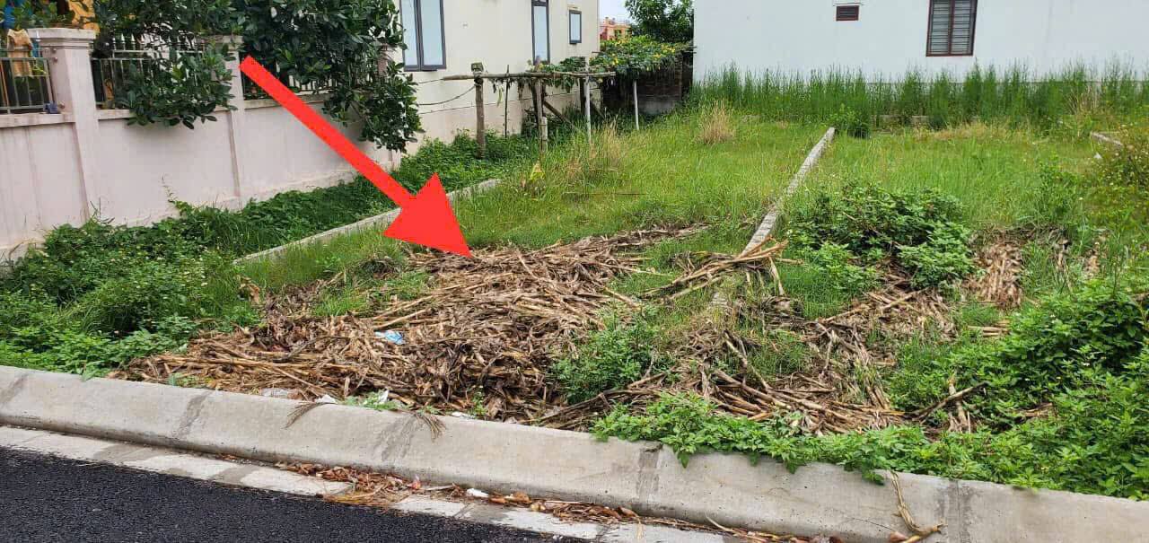 Đất nền Bàng La Đồ Sơn 78m² giá 1.3 tỷ - Sổ đỏ chính chủ