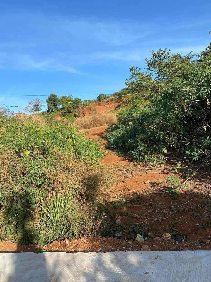 Đất nền Đắk Lao 700m² 1.35 tỷ – Sổ đỏ chính chủ