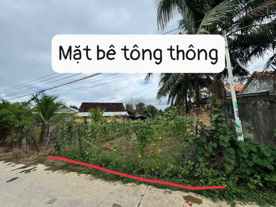 Đất nền Tuân Thừa Ninh Quang 107m² 5xx - Sổ đỏ