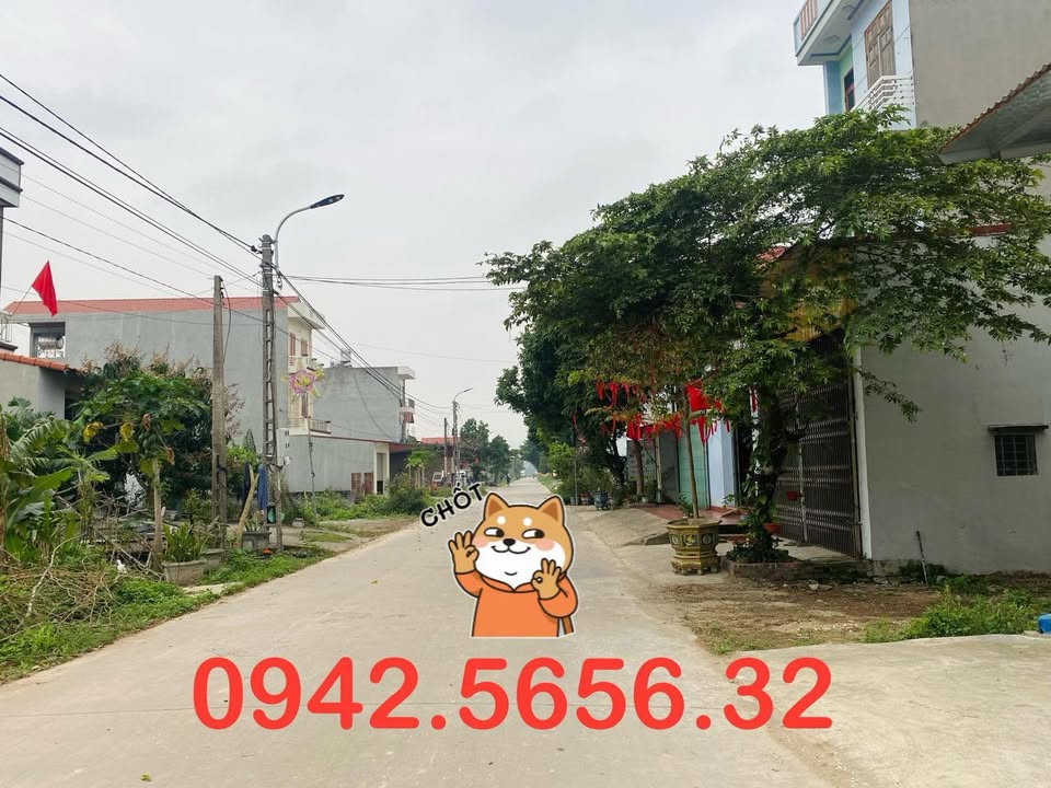 Đất nền Tân An Bắc Giang 100m² - Đường to ô tô