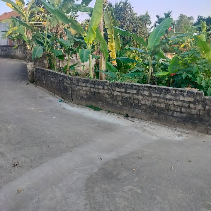 Đất Thôn De Bắc Giang 117m² 1xxx - Thổ cư 100%