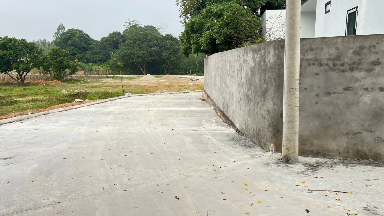 Đất Chu Hóa Hy Cương Việt Trì 89m² 800tr - Hạ tầng hoàn thiện