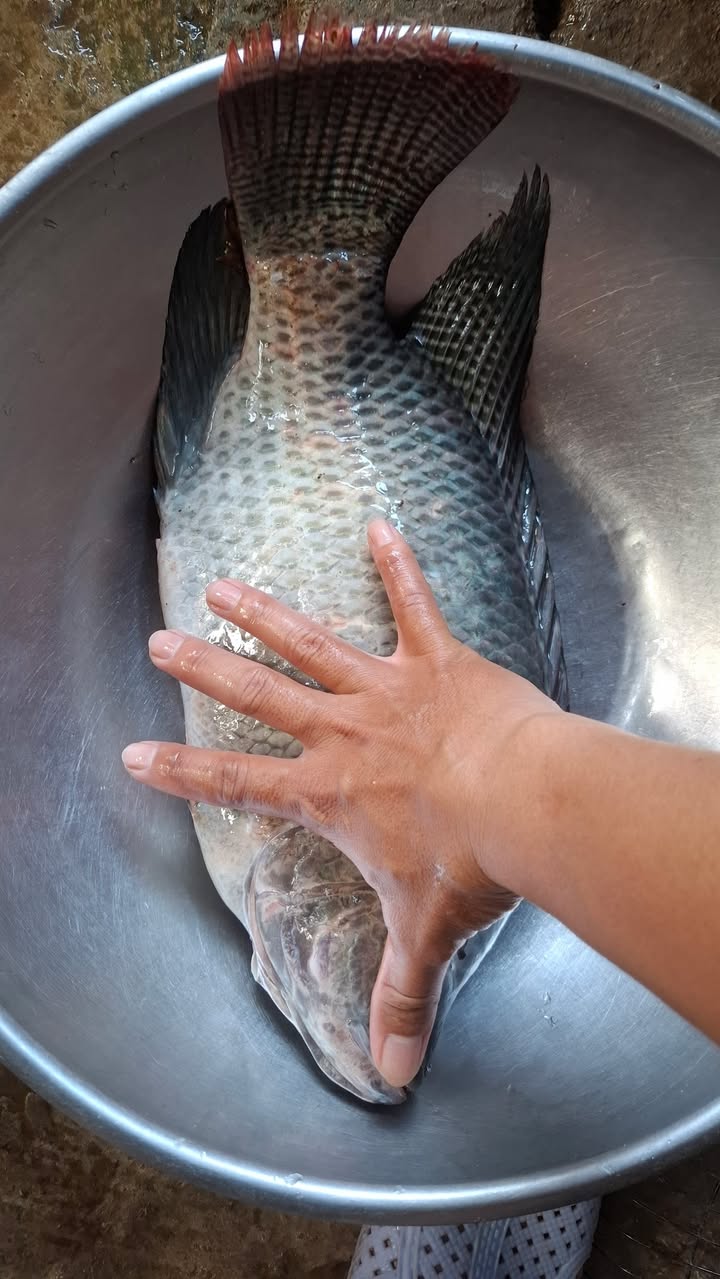 Đất nền Quốc lộ 1A Lăng Cô 1.2k m² - Sổ đỏ chính chủ