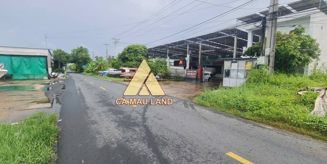 Đất 2 mặt tiền Đầm Dơi 2808m² 3.2 tỷ - Hạ tầng hoàn thiện