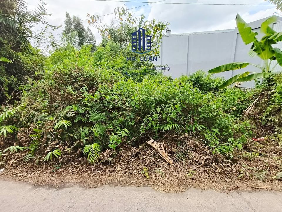 Đất thổ cư Cà Mau An Xuyên 249m² 820 triệu - Sổ đỏ chính chủ