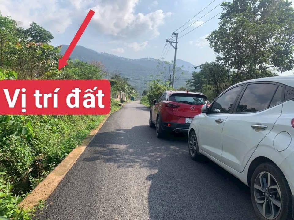 Đất nền Tam Hưng Thanh Oai 126m² 850 triệu - Sổ đỏ chính chủ