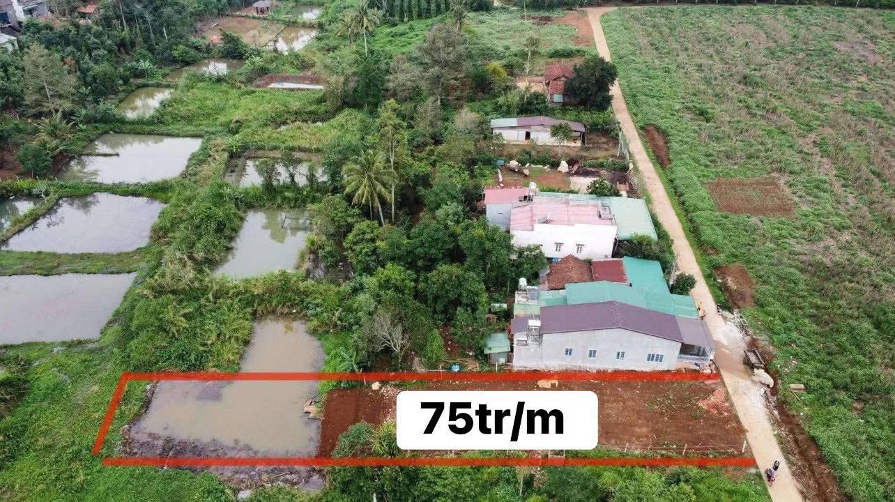 Đất Thuận Hà Đắk Song 720m² 900 triệu - Sổ đỏ thổ cư