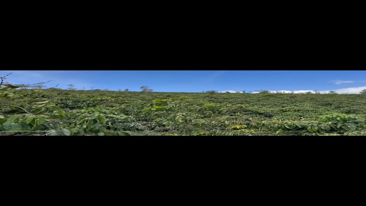 Farm Thuận Hà 1,6ha giá 3,68 tỷ - Sổ đỏ chính chủ