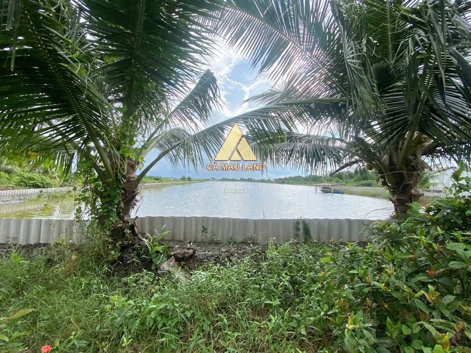 Đất nền Giá Rai 16.671m² 1.89 tỷ - Sổ đỏ chính chủ