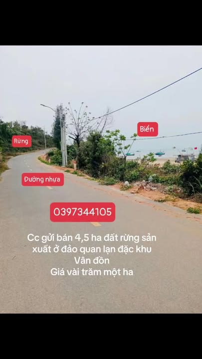 Đất vườn Quan Lạn 4,5ha giá vài trăm triệu - Sinh thái xanh