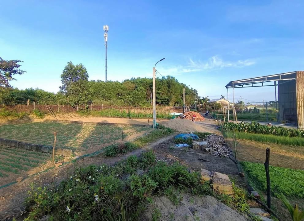 Đất Hòa Phong Hòa Vang 550m² 1.6 tỷ – Sổ đỏ chính chủ