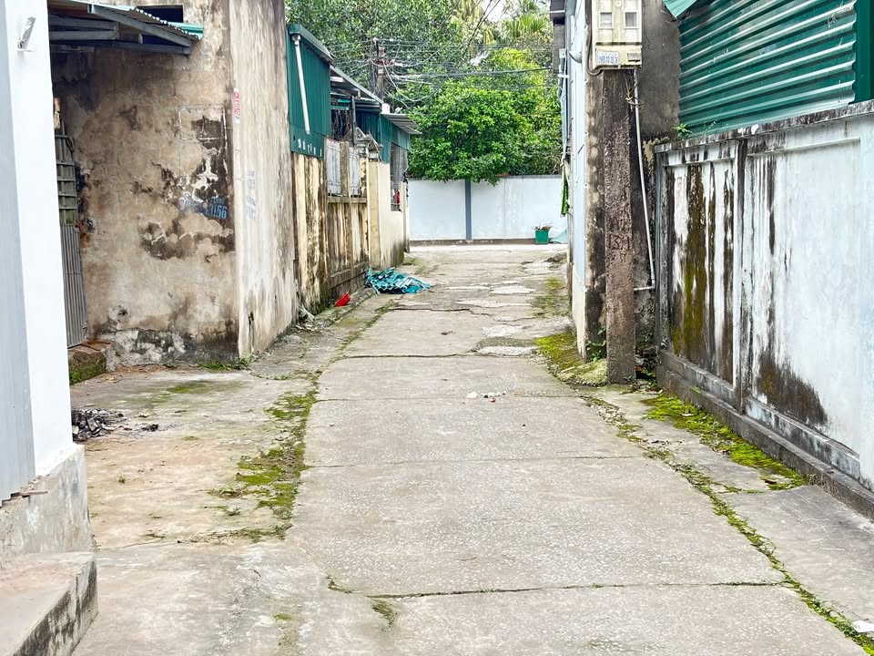 Nhà phố Gia Lộc Thanh Hóa 60m² giá 1.3 tỷ - Sẵn sàng ở ngay