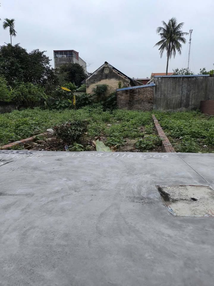 Đất Nam Sơn An Dương 57m² giá 1.85 tỷ - Sổ đỏ chính chủ