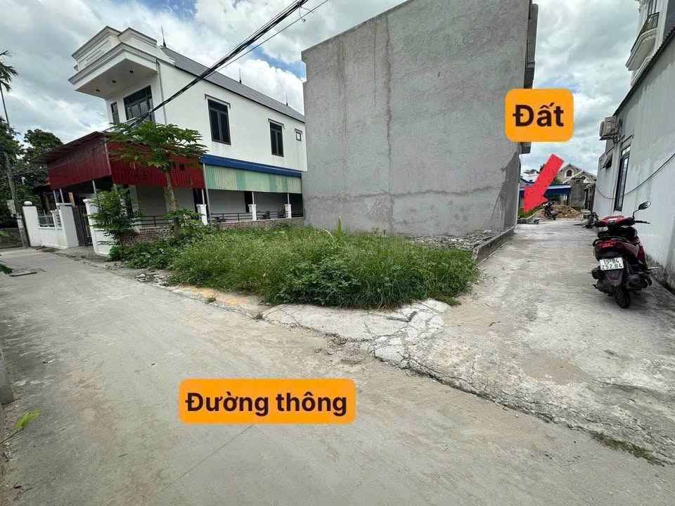 Đất Đồng Quang An Dương 55m² giá 1.19 tỷ - Sổ đỏ chính chủ