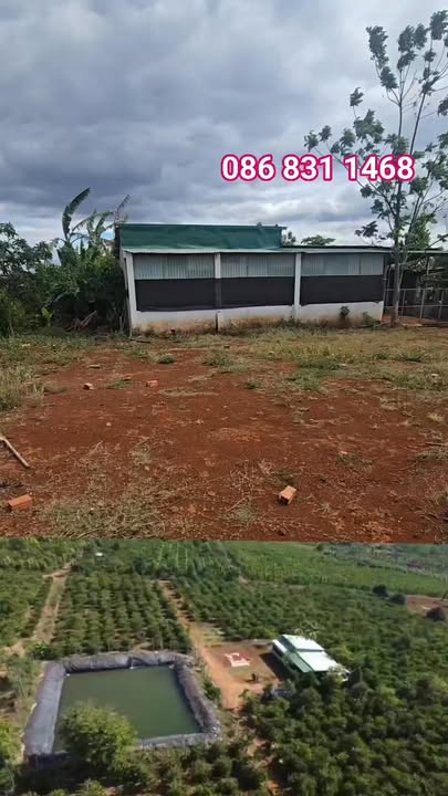 Đất rẫy cà phê Bàu Cạn 4.4ha 13.5 tỷ - Đường to ô tô