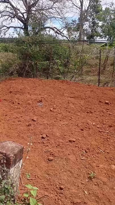 Đất nền Ia Băng Chư Prông 693m² 650 triệu - Đường ô tô