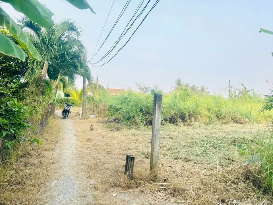 Đất thổ cư 100m² Phước Lâm Cần Giuộc 550 triệu - Sổ đỏ chính chủ