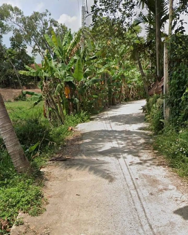 Đất thổ cư Hòa Nhơn Hòa Vang 200m² 1.45 tỷ - Sổ đỏ