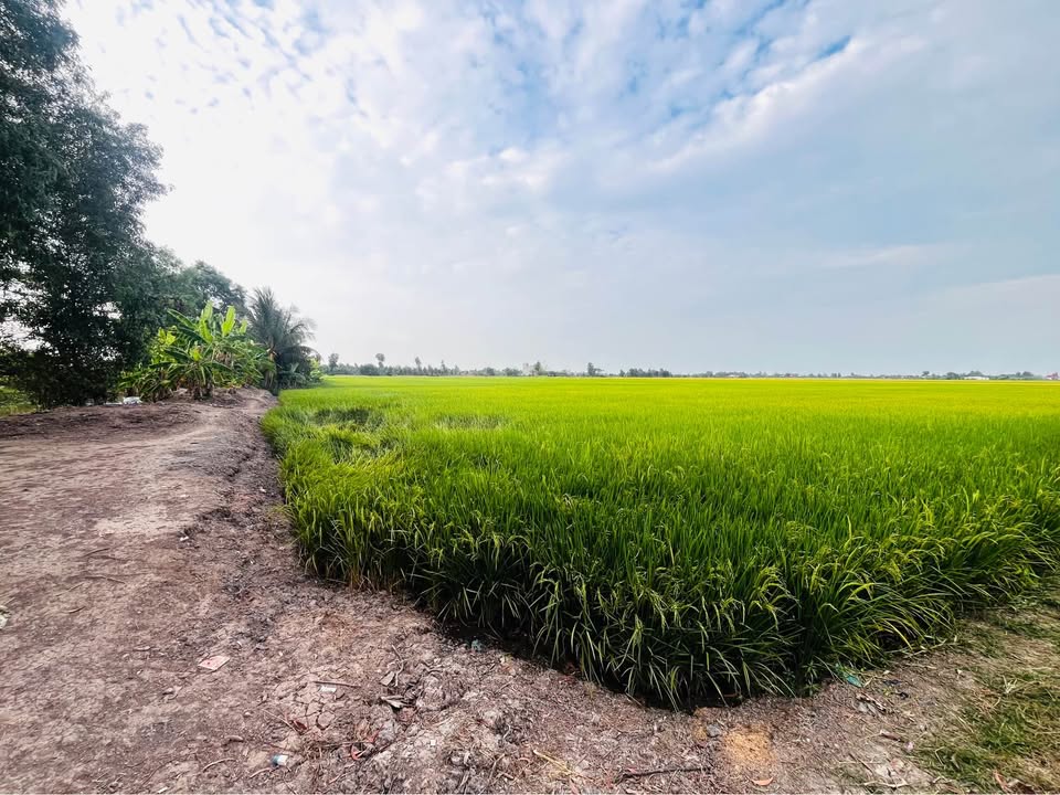 Đất nền Rạch Giá 12.000m² 4.56 tỷ - Hạ tầng hoàn thiện