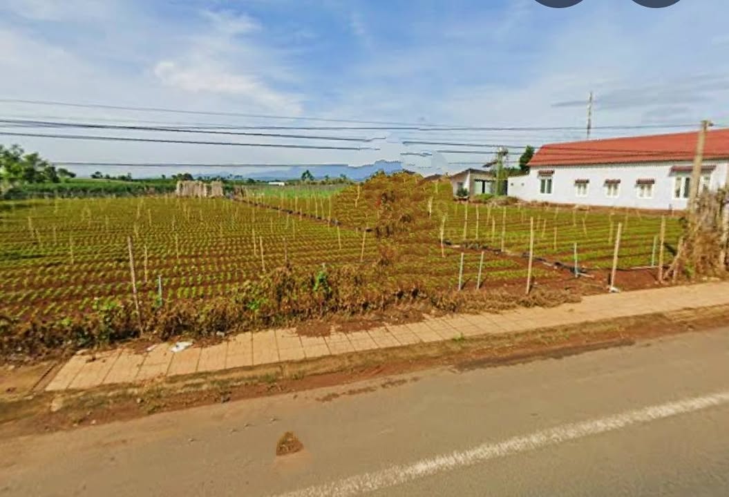 Đất mặt tiền ĐT724 Phú Hội 840m² 400tr/m ngang – Pháp lý rõ ràng