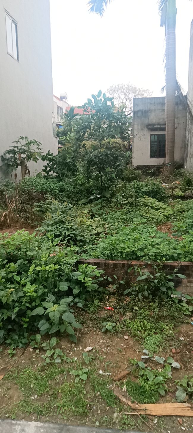 Đất nền Đông Anh 120m² giá đầu tư hấp dẫn - Tiềm năng tăng giá