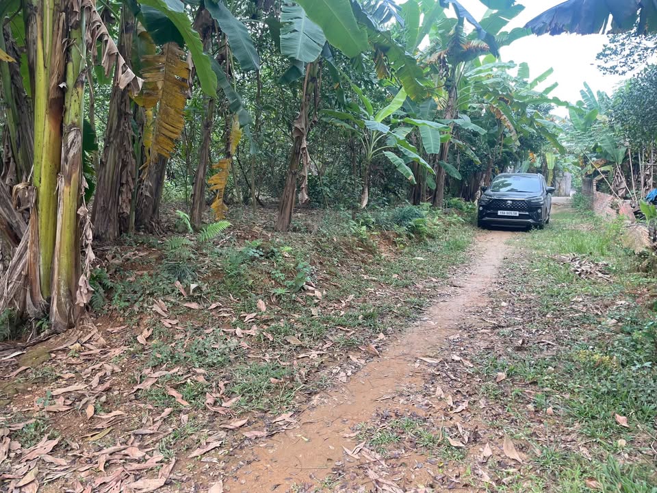 Đất thổ cư Thanh Mỹ Sơn Tây 120m² giá 3x - Sổ đỏ 100%