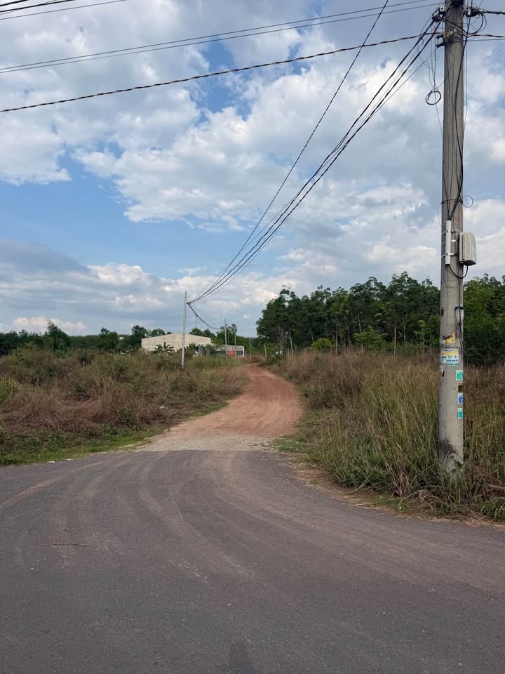 Đất Bàu Bàng 540m² giá 1.299 tỷ - Sổ đỏ chính chủ