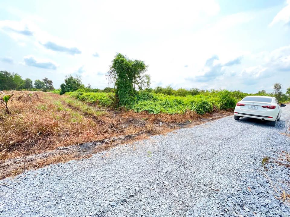 Đất vườn Bình Đức Bến Lức 1.200m² 780 triệu - Pháp lý rõ ràng