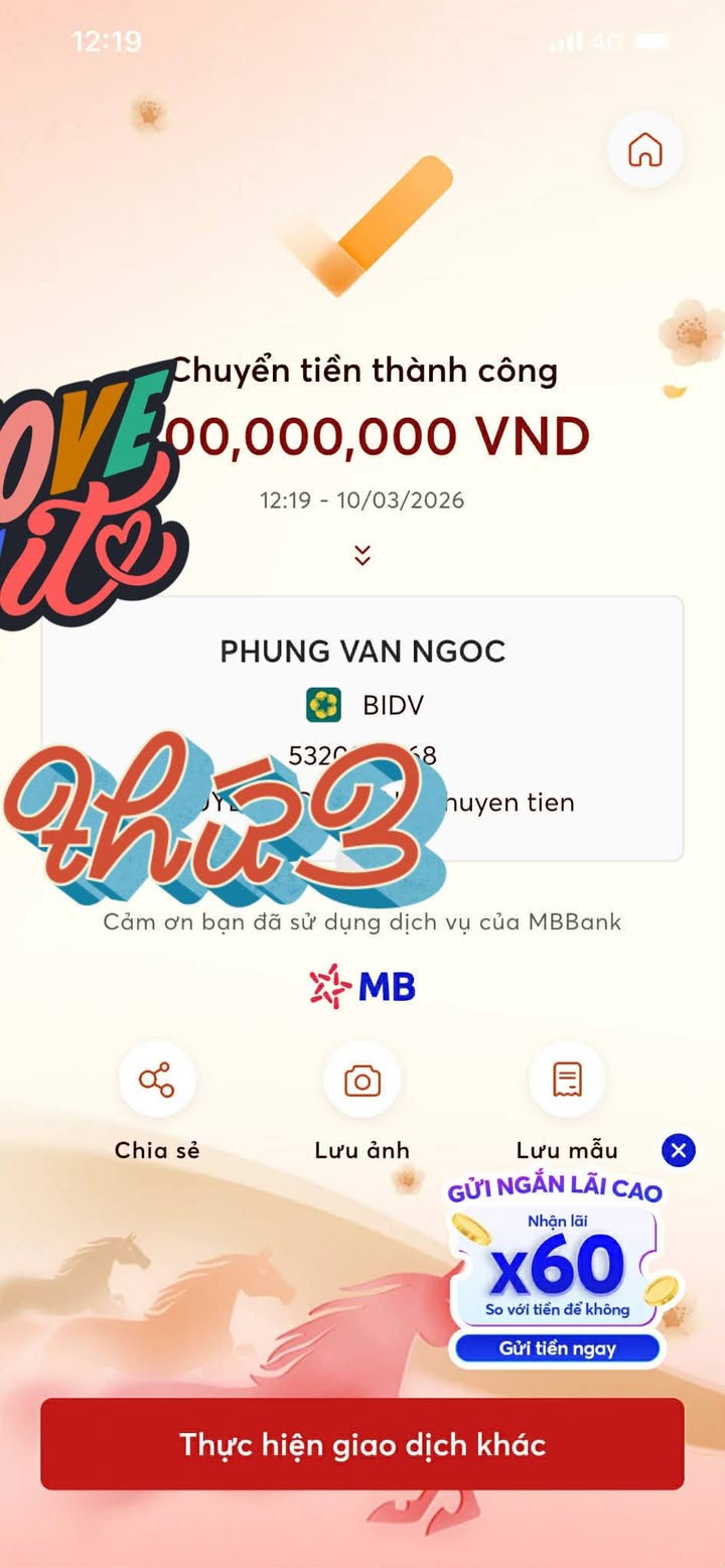 Đất nền Ba Đồn Quảng Bình 207m² 1.6 tỷ - Tiềm năng tăng giá