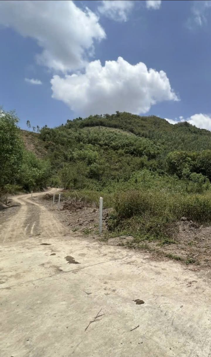 Đất vườn Diên Tân 2.555m² 730 triệu - Sinh thái xanh