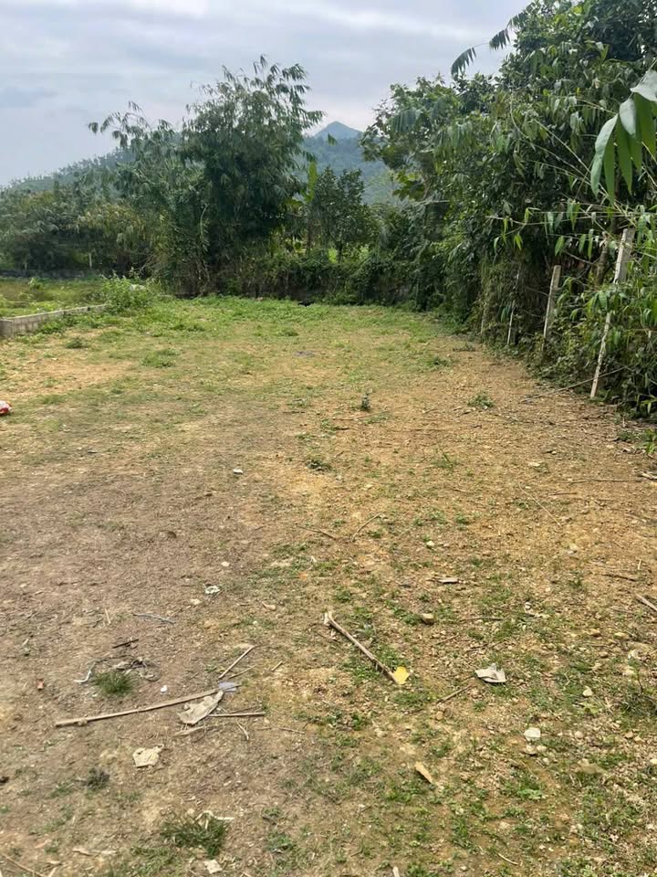 Đất nền Ba Vì Hà Nội 270m² 2 tỷ - Sổ đỏ chính chủ