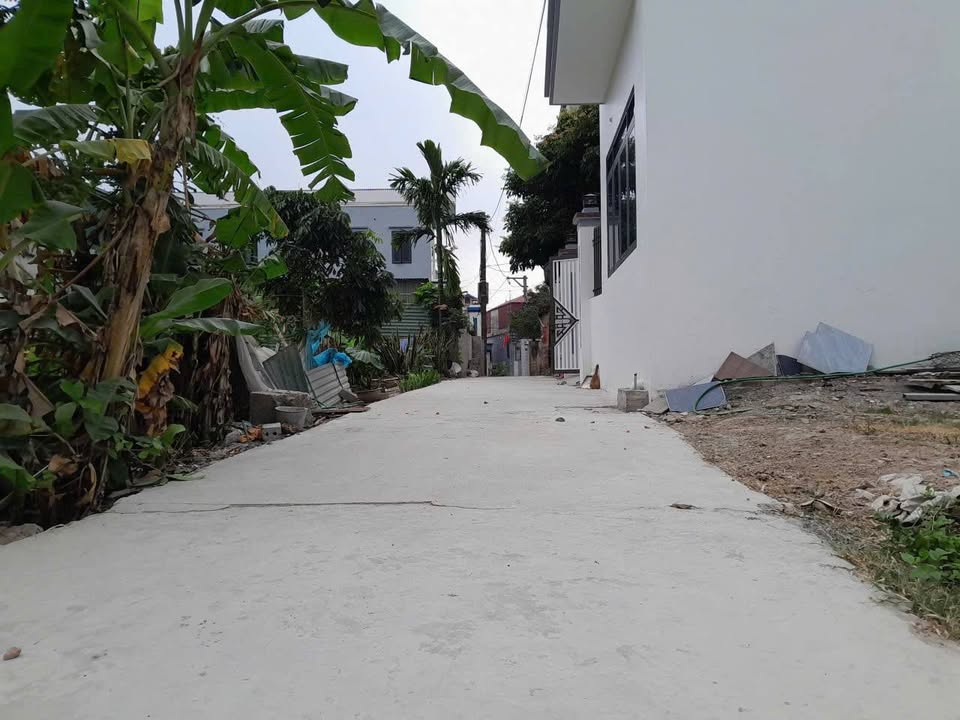 Đất Vin Olympic Thanh Oai 55m² - Hạ tầng hoàn thiện