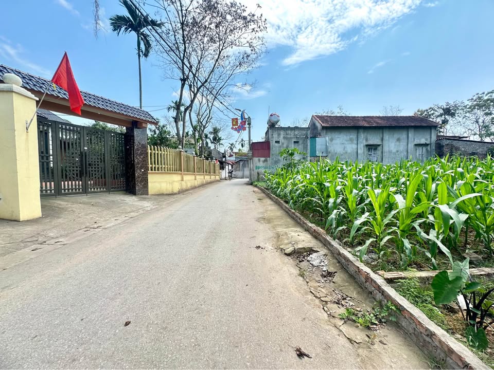 Đất Nhật Chiêu 7 Lập Thạch 108m² 1,5 tỷ - Hạ tầng hoàn thiện