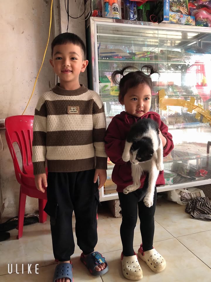 Đất thổ cư Xuân Lương 200m² giá 4xx triệu - Sổ đỏ chính chủ