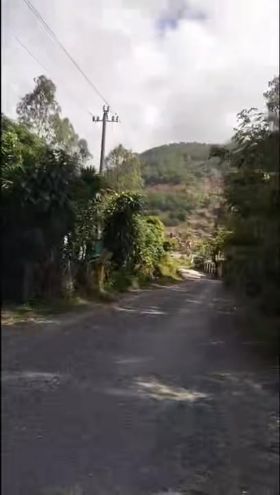 Đất trồng lâu năm Hòa Ninh 800m² giá 1.5 tỷ - Đầu tư dài hạn