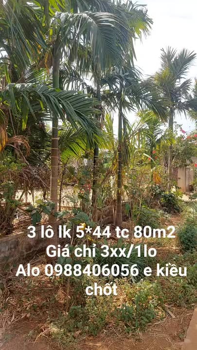 Đất nền Ea Tar Cư M'gar 80m² giá 3xx - Hạ tầng hoàn thiện