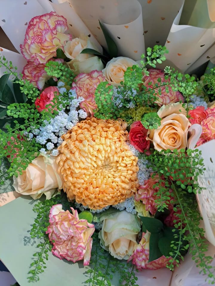 Nhà mặt tiền Nguyễn Huệ Bến Tre 635m² 17.78 tỷ - Thích hợp KD