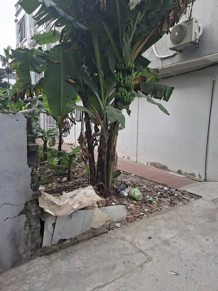 Đất nền Tả Thanh Oai 60m² 6 tỷ - Sổ đỏ chính chủ