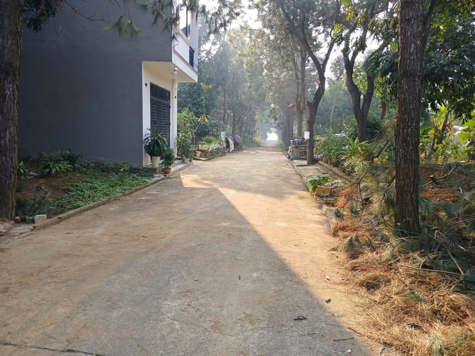 Đất nền Thạch Hòa 312m² 3.12 tỷ - Giá F0 CĐT