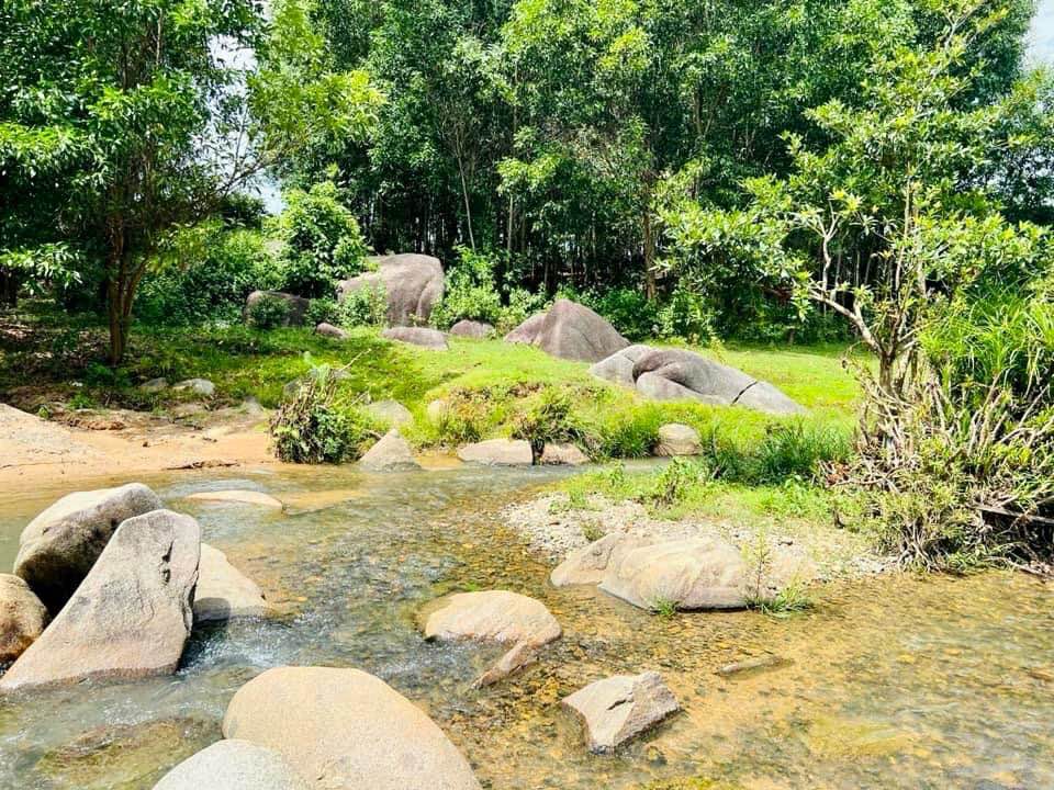 Đất Khánh Đông 571m² 1,399 tỷ - Đường ô tô