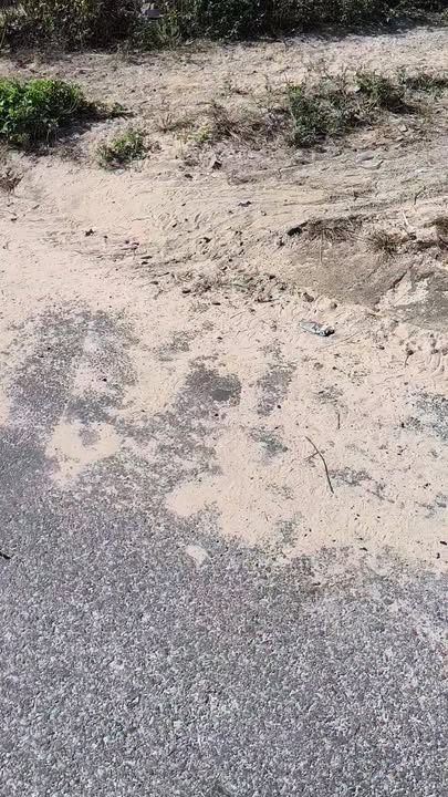 Đất nền Tân An La Gi 183m² 1,7 tỷ - Sổ hồng riêng