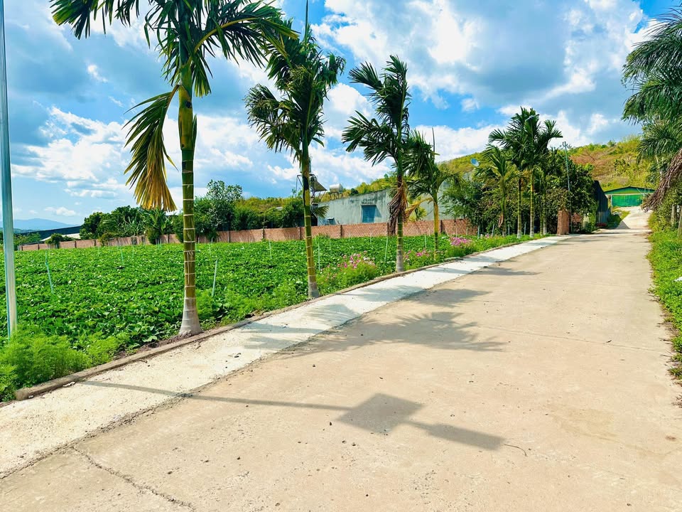 Đất Hiệp An Đức Trọng 75m² 725 triệu - Sổ hồng chính chủ